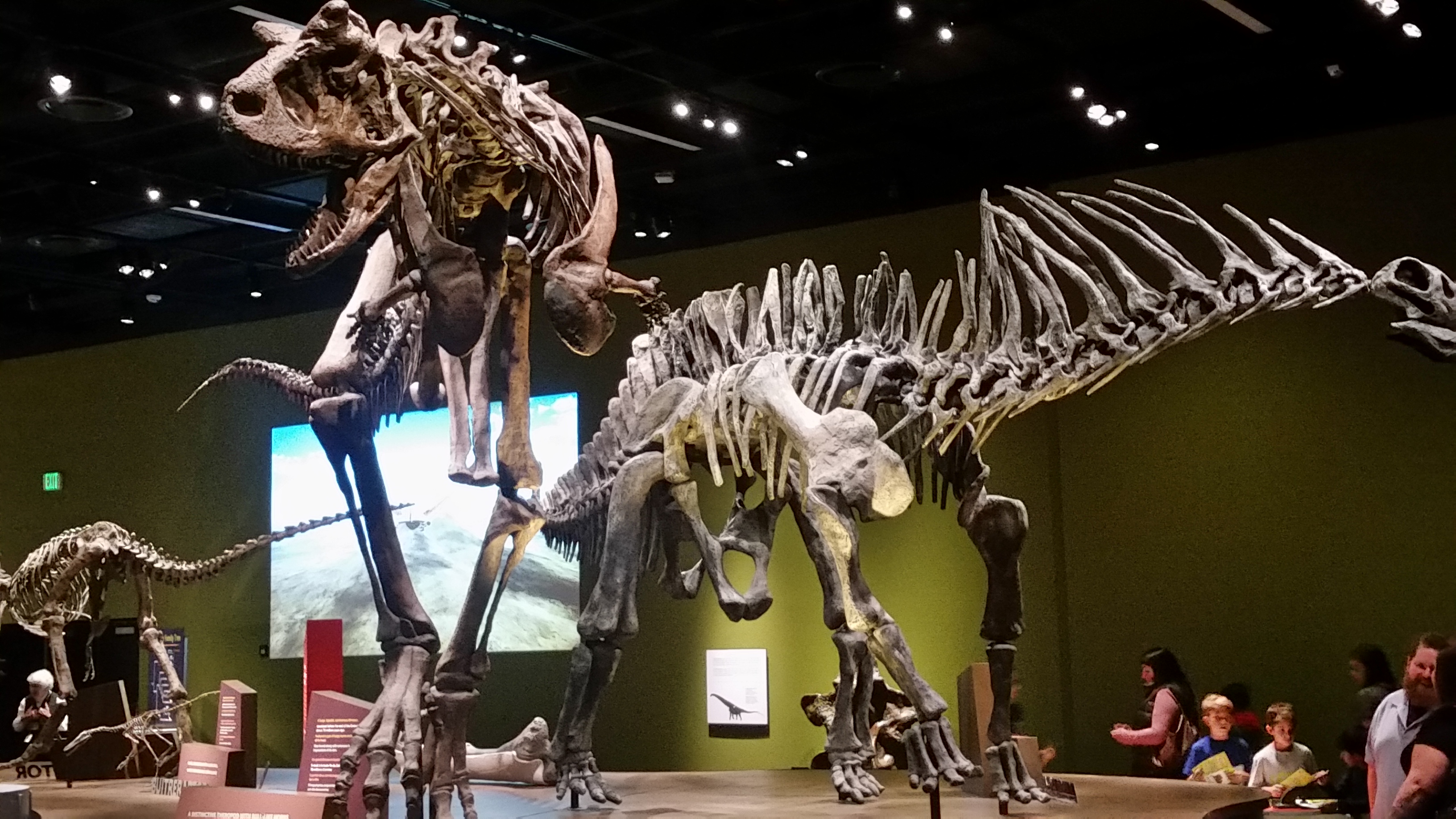 ultimate dinosaurs
